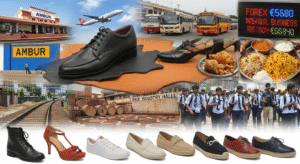 Ambur Shoe Industry